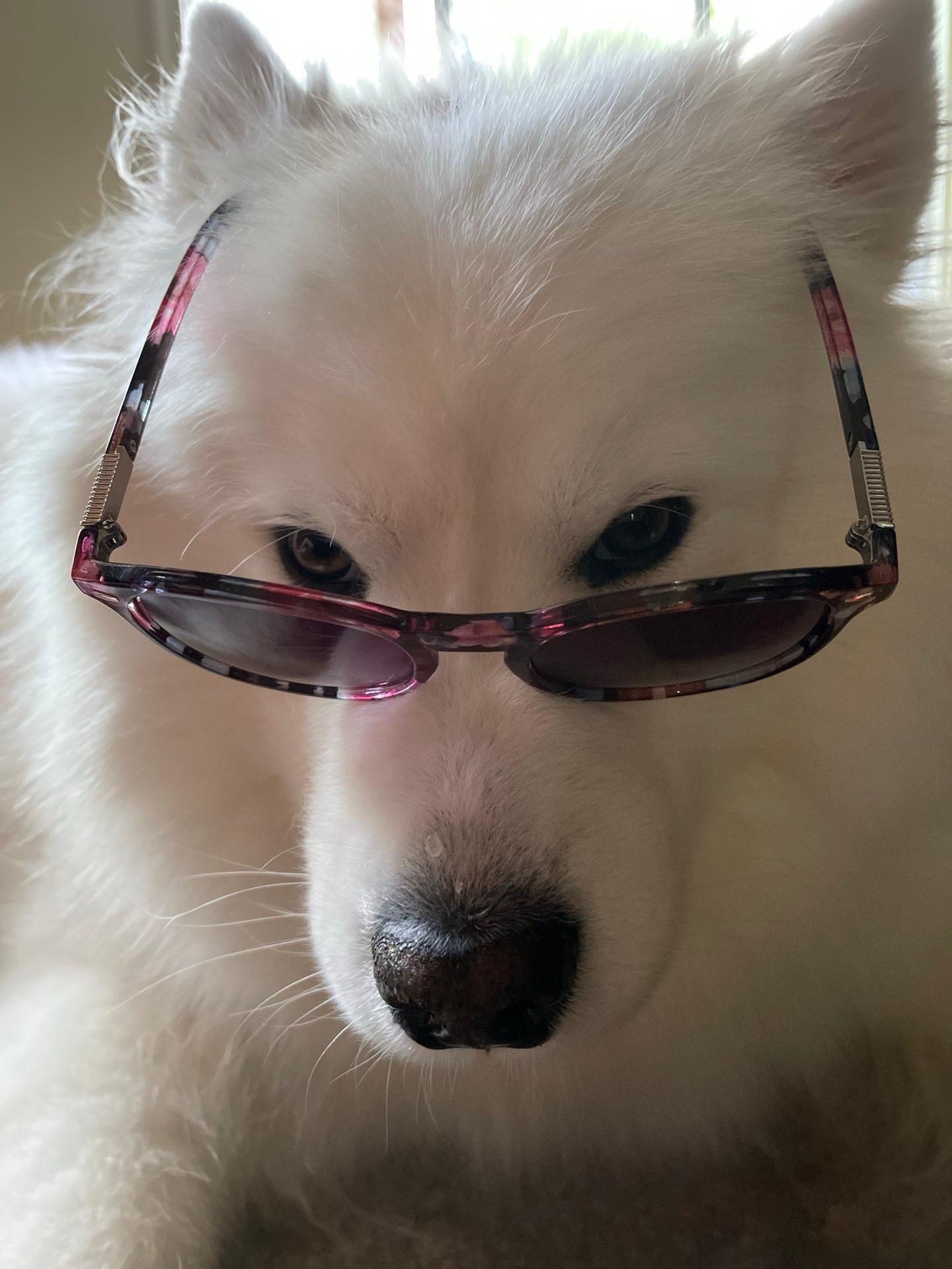 londin profile photo