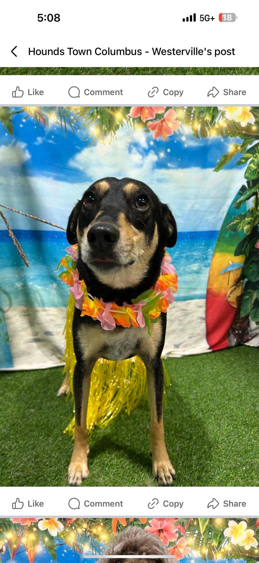 Annie’sList profile photo