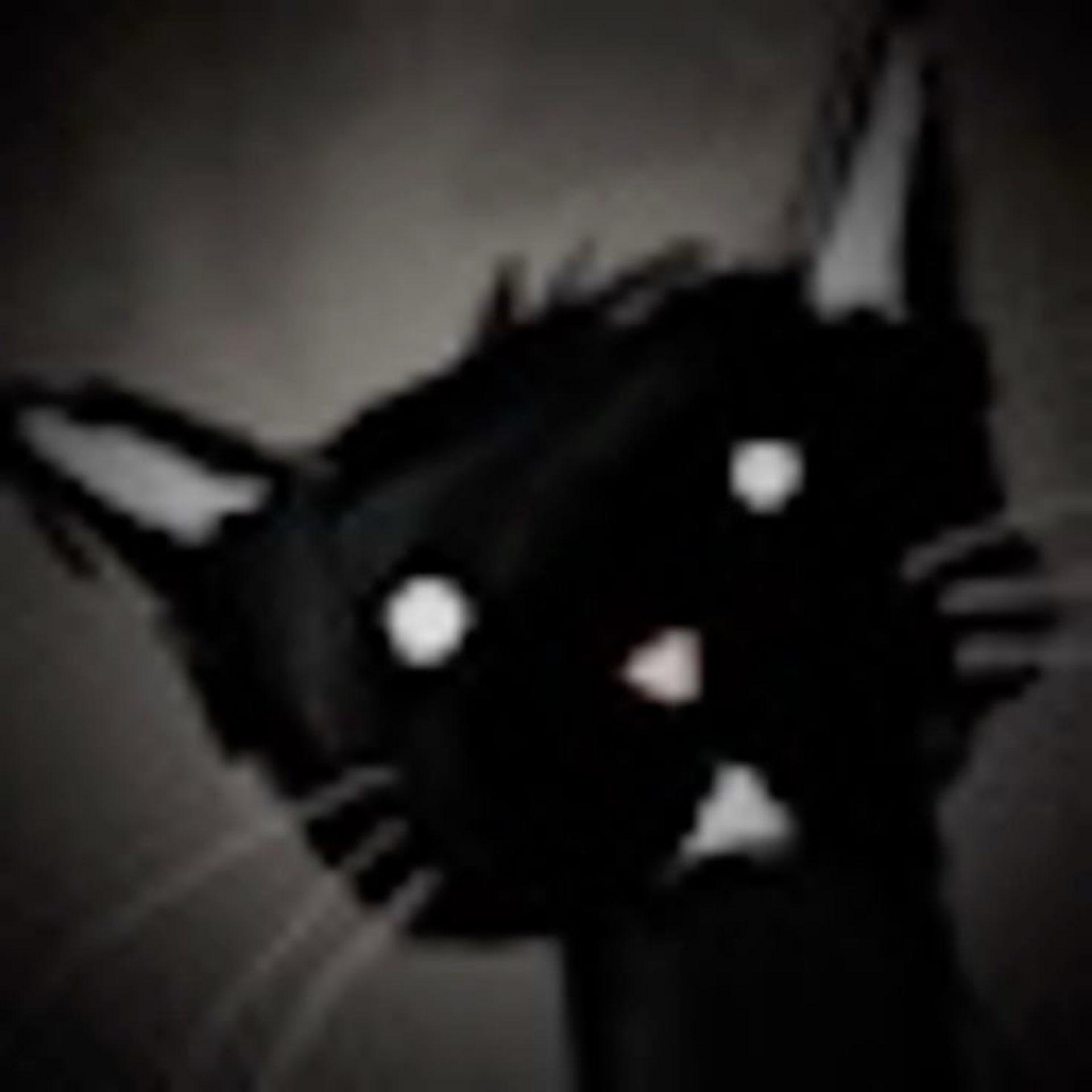 kirigiri profile photo