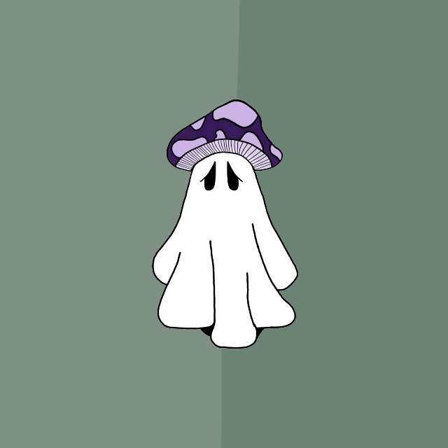 Rae profile photo