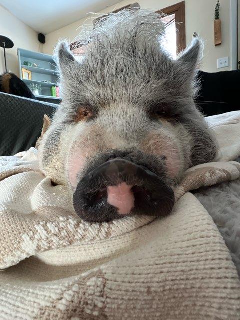 Sierra profile photo