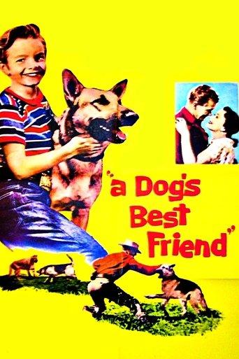A Dog's Best Friend image