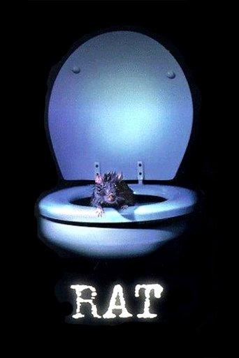 Rat image