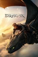 How to Train Your Dragon Image