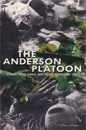 The Anderson Platoon image