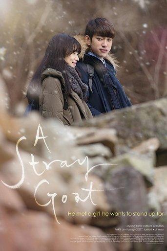 A Stray Goat