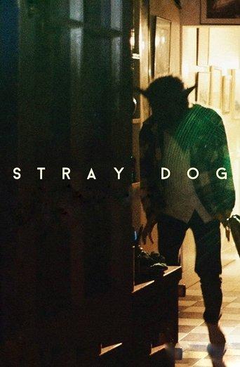 Stray Dog image