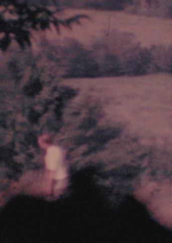 Four Shadows