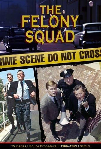 Felony Squad image