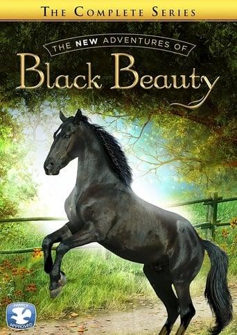The New Adventures of Black Beauty image