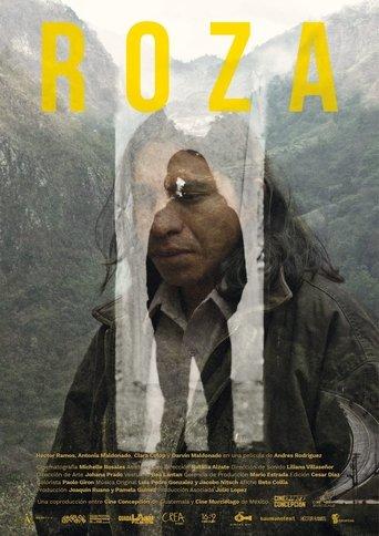 Roza image