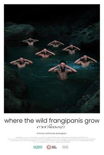 Where the Wild Frangipanis Grow