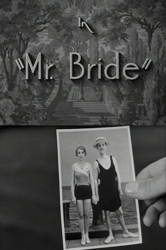 Mr. Bride image