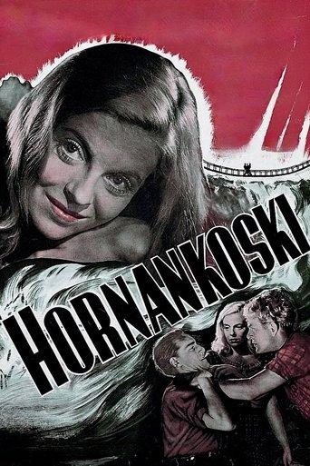 Hornankoski image