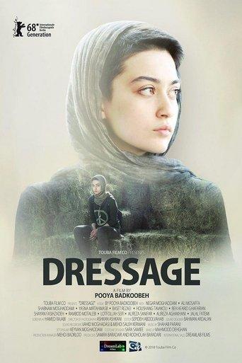 Dressage image