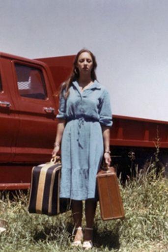 Empty Suitcases image