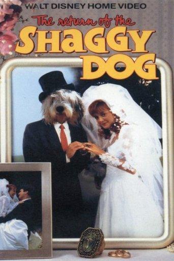The Return of the Shaggy Dog