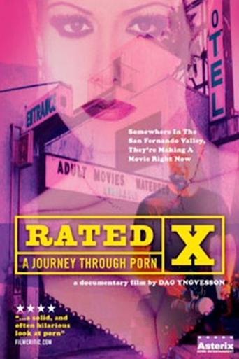 Rated X: A Journey Through Porn
