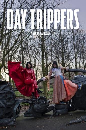 Day Trippers image