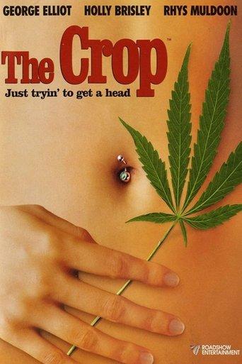 The Crop image