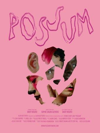 Possum image