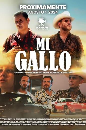 Mi Gallo image