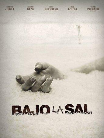 Under the Salt image