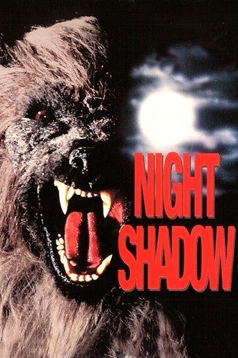 Night Shadow image