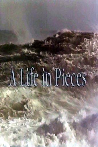 A Life In Pieces image