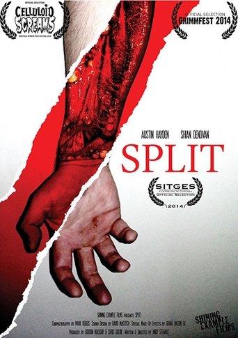 Split image