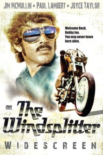 The Windsplitter image