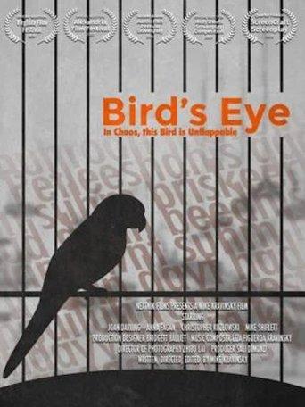 Bird's Eye image