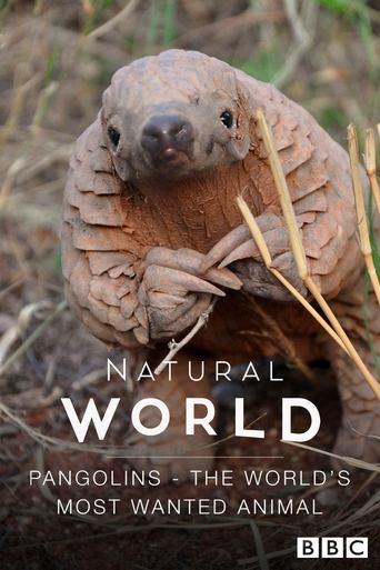 Pangolins: The World's Most Wanted Animal image