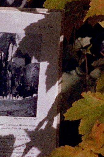 Four Shadows image