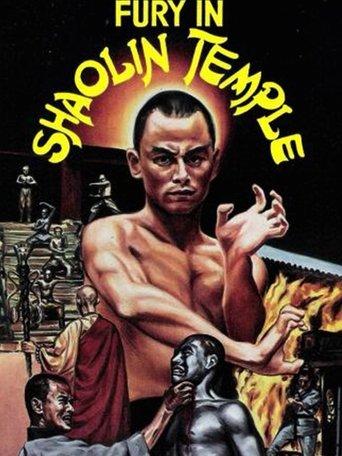 Fury in Shaolin Temple image
