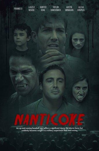 Nanticoke image