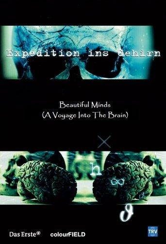 Beautiful MInds - A Voyage into the Brain