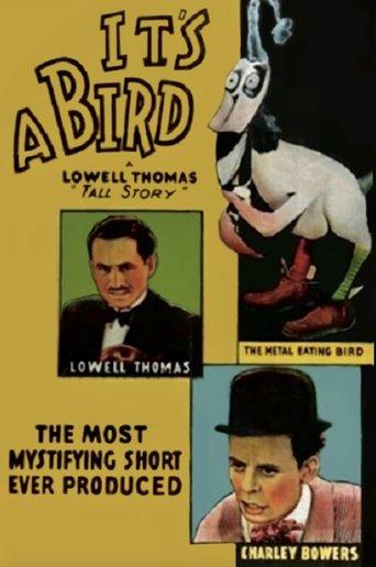 It's a Bird image