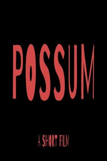 Possum