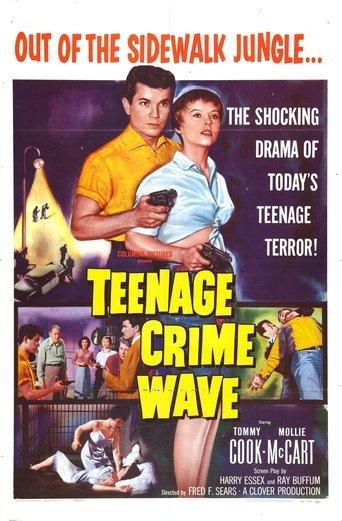 Teen-Age Crime Wave image