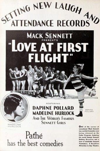 Love at First Flight image