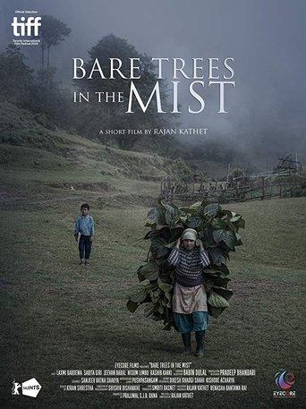 Bare Trees in the Mist image