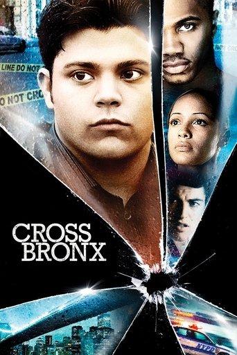 Cross Bronx image