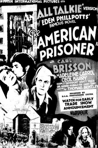 The American Prisoner image
