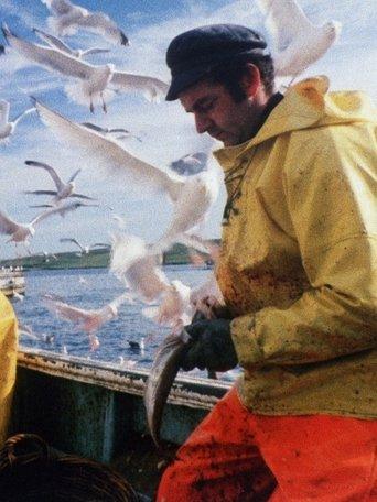 The Shetland Experience