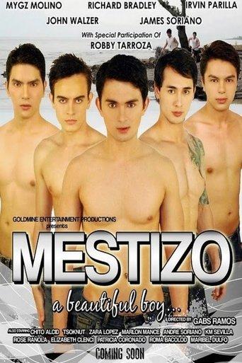 Mestizo: A Beautiful Boy image