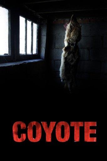 Coyote image
