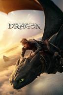 How to Train Your Dragon Image