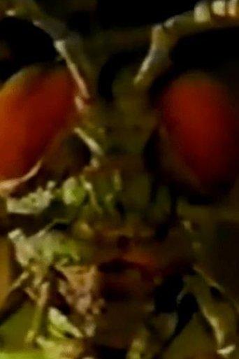 Ghosts Of Fear Street - Return Of The Bugman image