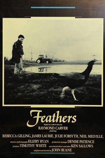 Feathers image